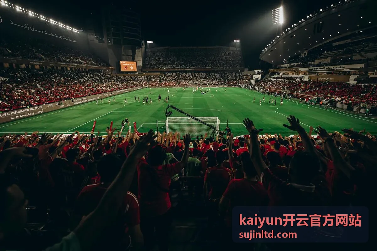 kaiyun开云官方网站长期运维与巡检托管服务